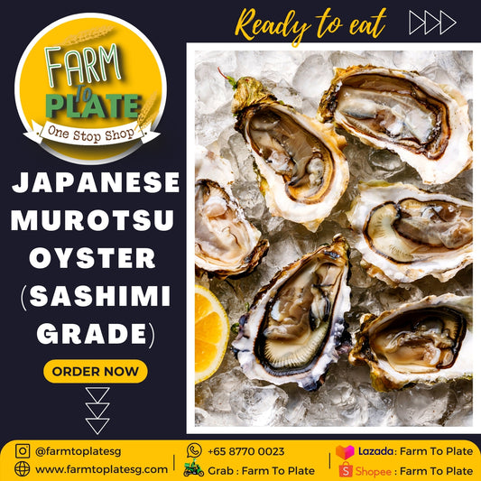 【FARM TO PLATE】Japan Murotsu Oyster Sashimi Grade (12pcs)