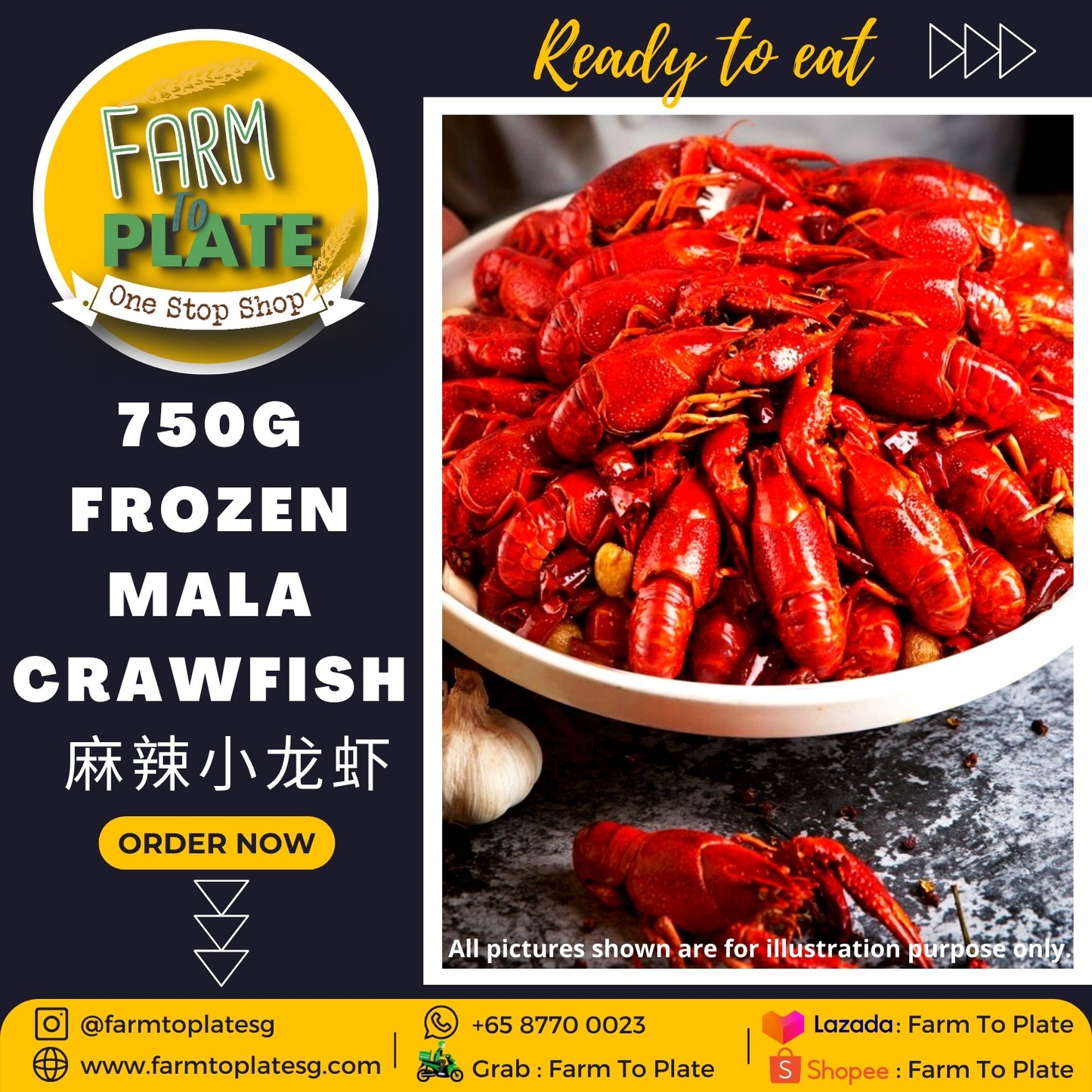 【FARM TO PLATE】750g Frozen Mala Crawfish / 麻辣小龙虾