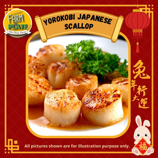 【FARM TO PLATE】1kg Yorokobi Japanese Scallop / 日本扇贝