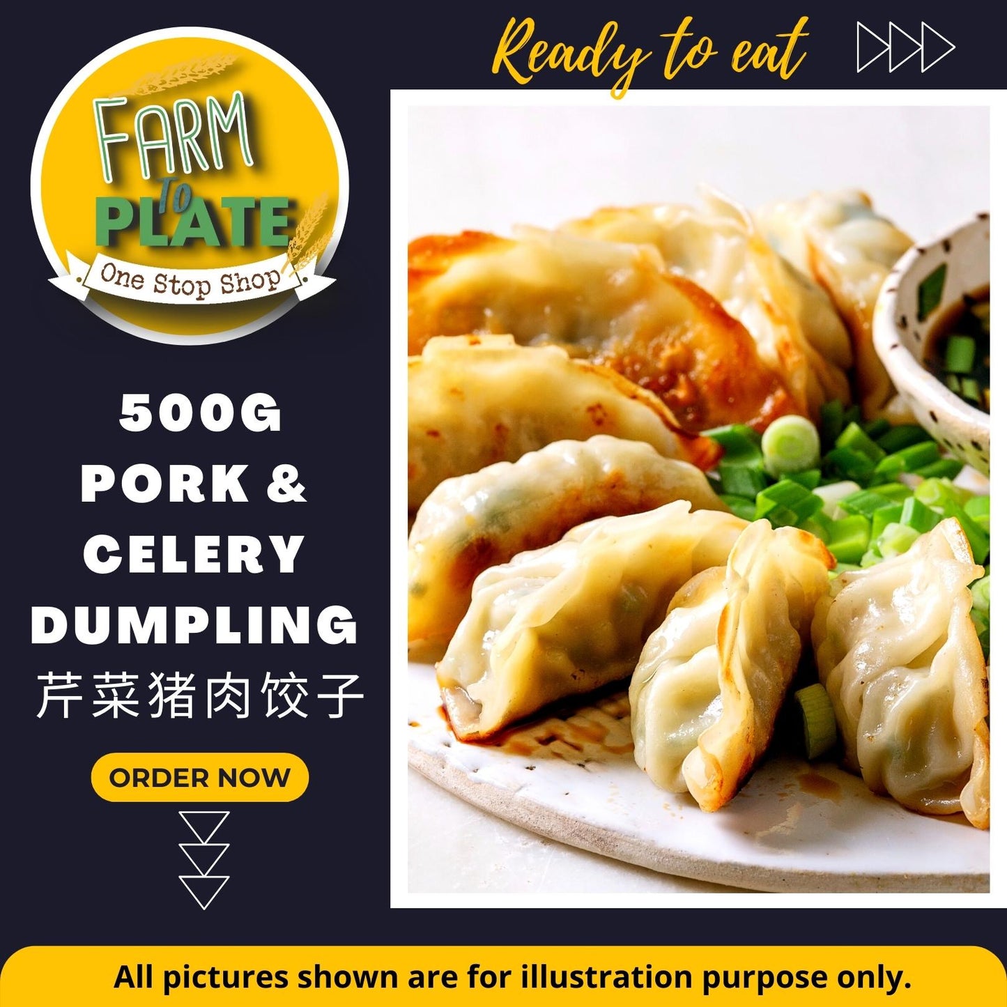 【FARM TO PLATE】500g Frozen Pork & Celery Dumplings (Approx. 20pc) / 芹菜猪肉饺子