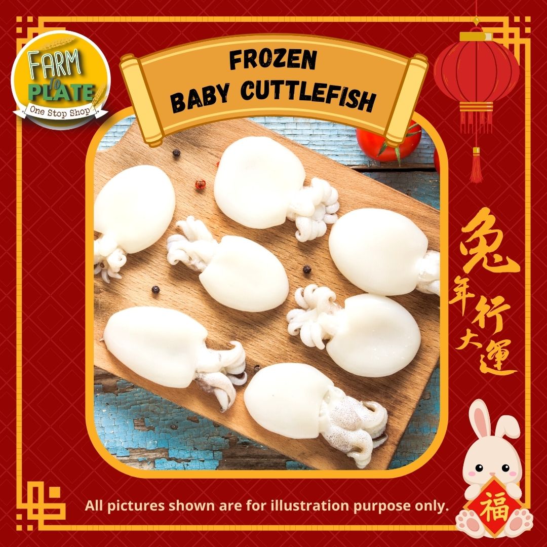 【FARM TO PLATE】1kg Baby Cuttlefish 40/60  / 墨鱼仔 / Frozen